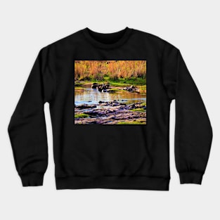 Water Buffalo in Crocodile River Crewneck Sweatshirt